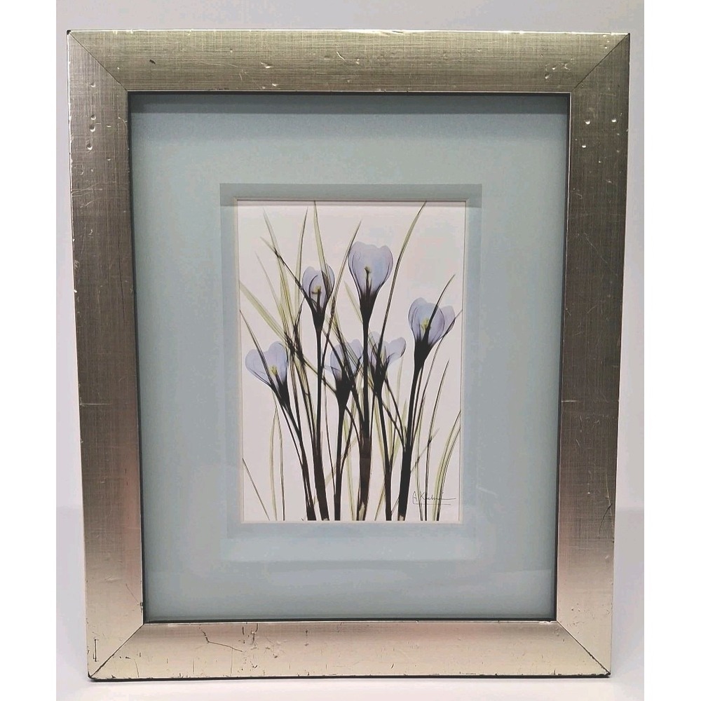 Framed X-Ray Blue Floral Crocus Print Signed by Albert Koetsier - Spring,Flowers